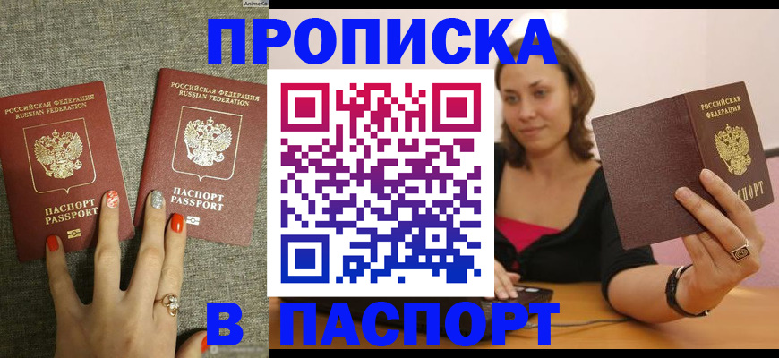 прописка паспорт в Михайловке